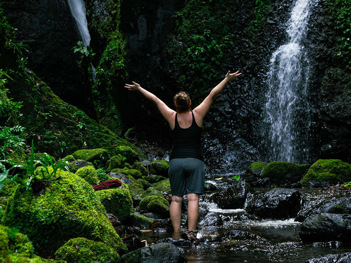 Wellness and song